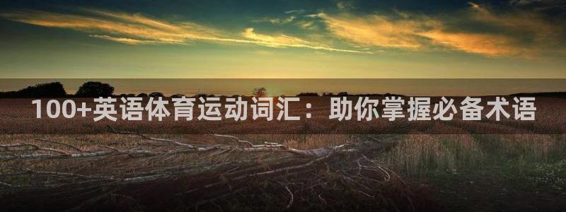 yy易游官方正版app集团官网网址:100+英语体育运动词汇