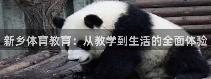 yy易游官网下载招商电话是多少啊:新乡体育教育:从教学到生活