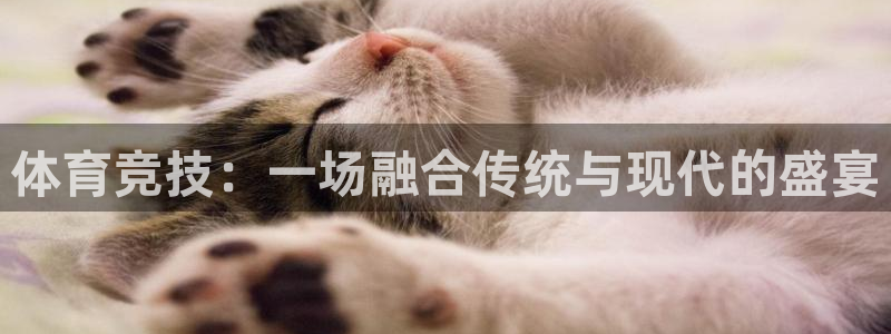 yy易游官方正版app五金厂:体育竞技:一场融合传统与现代的