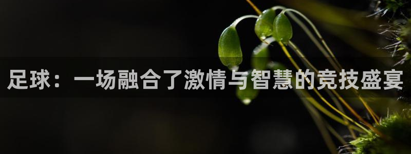 yy易游官网下载招商电话地址查询:足球:一场融合了激情与智慧